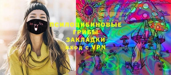 шишки Баксан