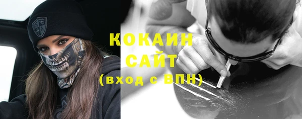 шишки Баксан