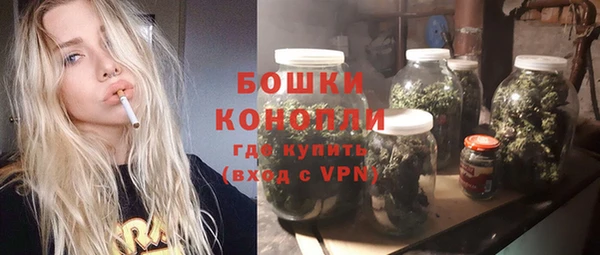 шишки Баксан