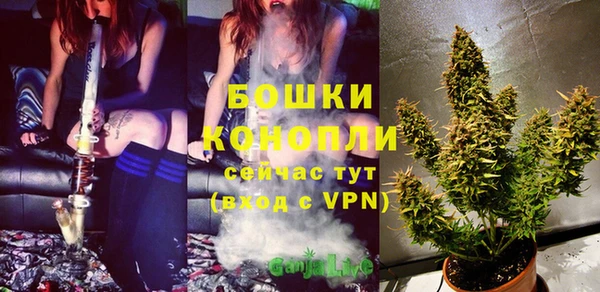 spice Армянск