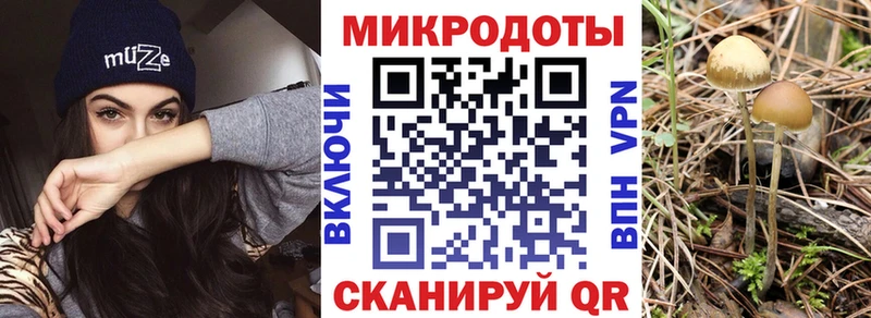 Псилоцибиновые грибы Cubensis  Тутаев 