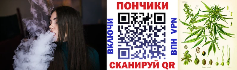 Бошки Шишки сатива  где купить наркоту  Тутаев 